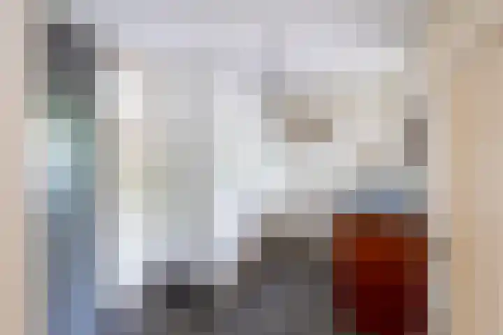 Velduil 5 Bergen L thumbnail 24