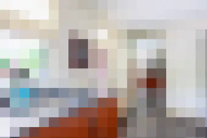 Velduil 5 Bergen L thumbnail 25