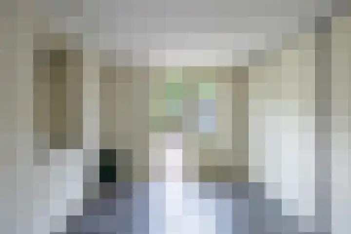 Velduil 5 Bergen L thumbnail 26