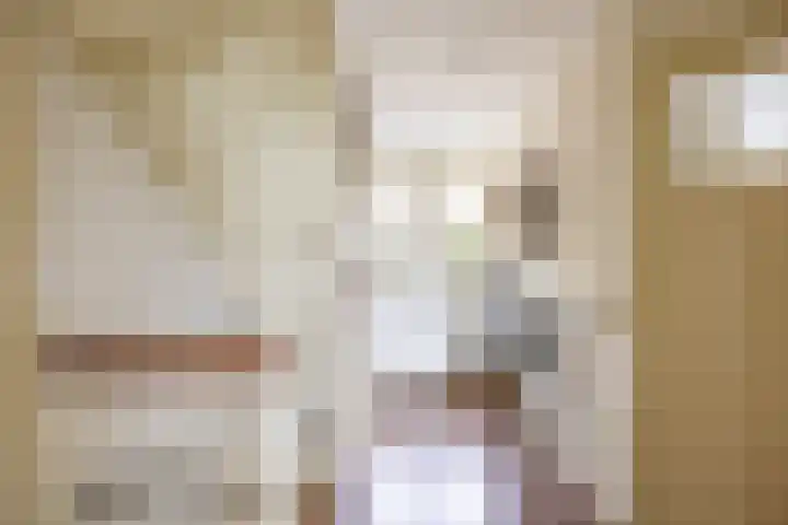 Velduil 5 Bergen L thumbnail 27