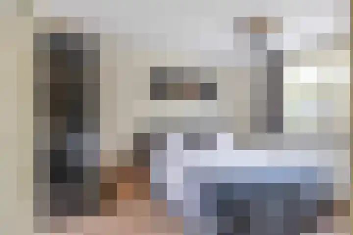 Velduil 5 Bergen L thumbnail 28