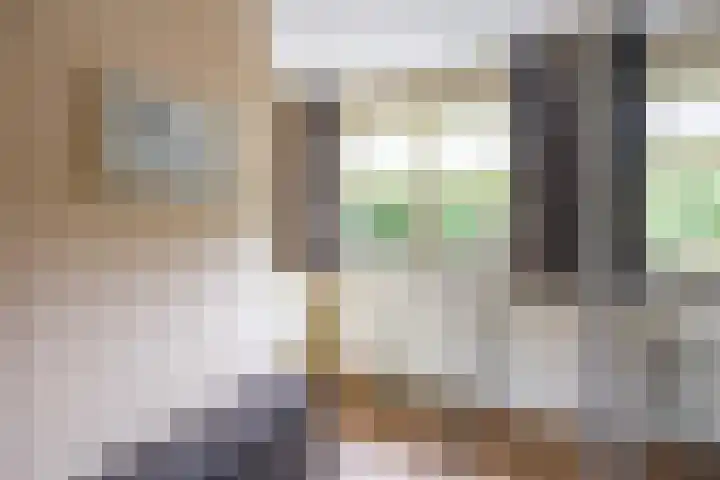 Velduil 5 Bergen L thumbnail 30