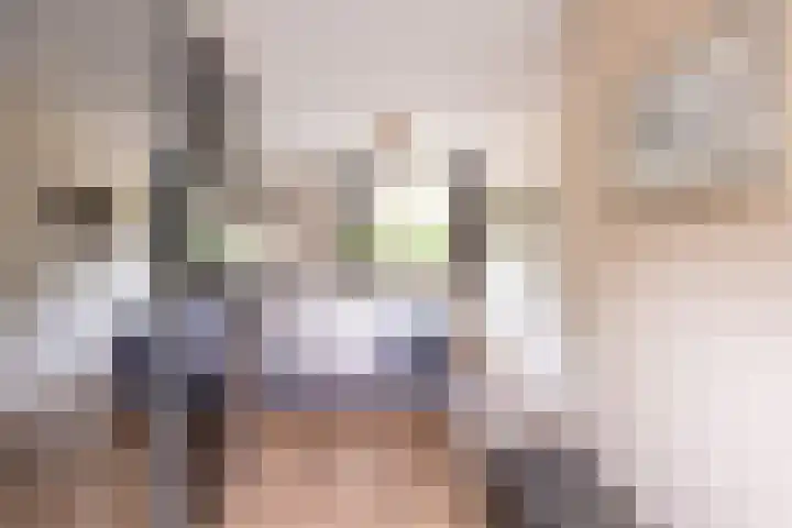 Velduil 5 Bergen L thumbnail 31