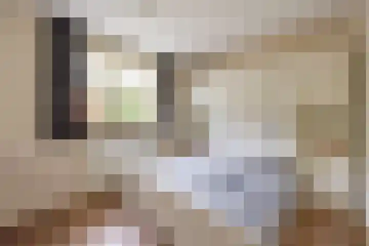 Velduil 5 Bergen L thumbnail 32