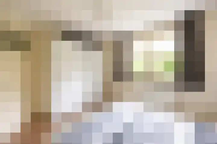 Velduil 5 Bergen L thumbnail 33