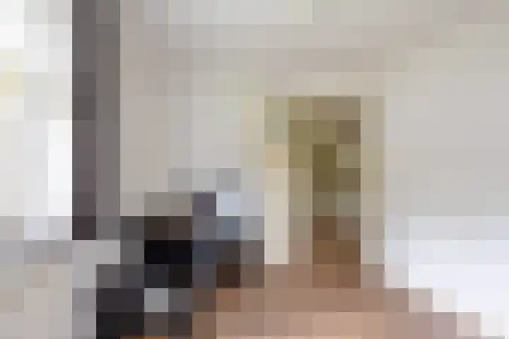 Velduil 5 Bergen L thumbnail 35