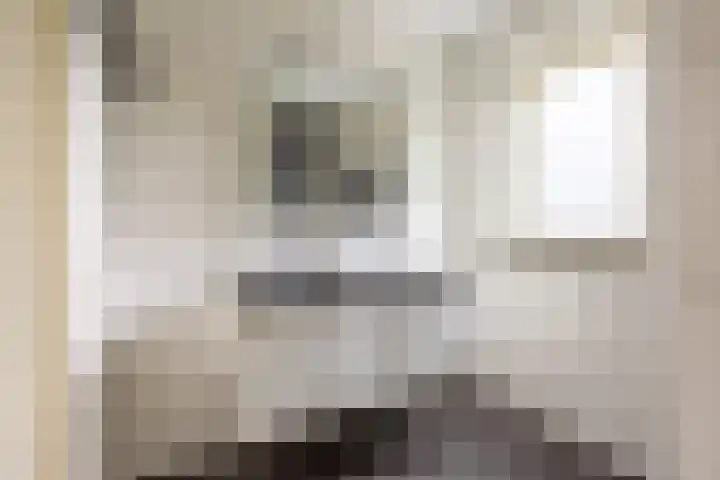 Velduil 5 Bergen L thumbnail 37