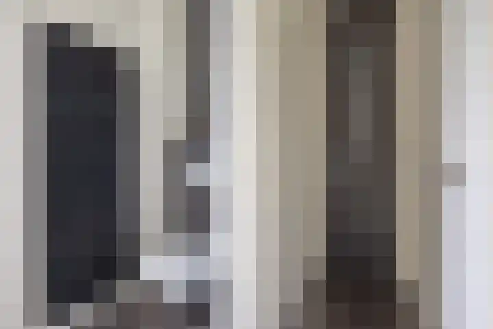 Velduil 5 Bergen L thumbnail 38