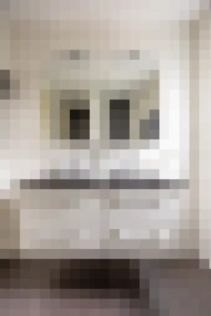 Velduil 5 Bergen L thumbnail 39