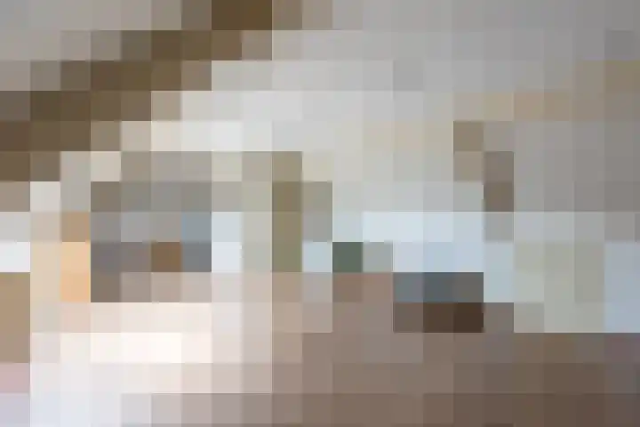 Velduil 5 Bergen L thumbnail 41