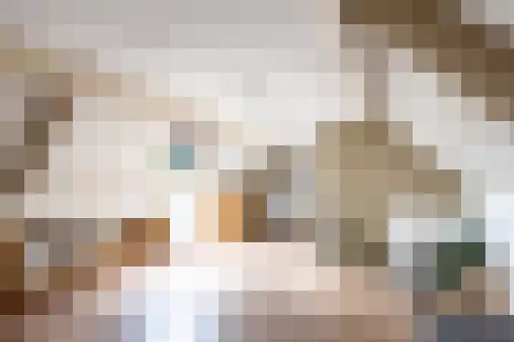Velduil 5 Bergen L thumbnail 42