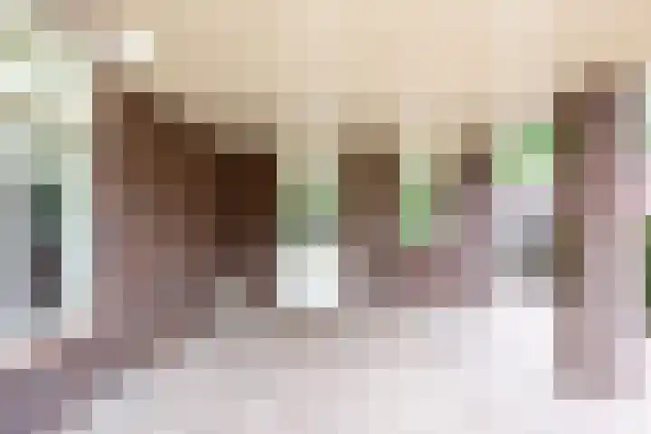 Velduil 5 Bergen L thumbnail 43