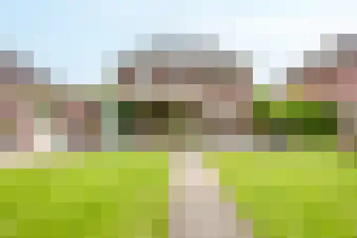Velduil 5 Bergen L thumbnail 45