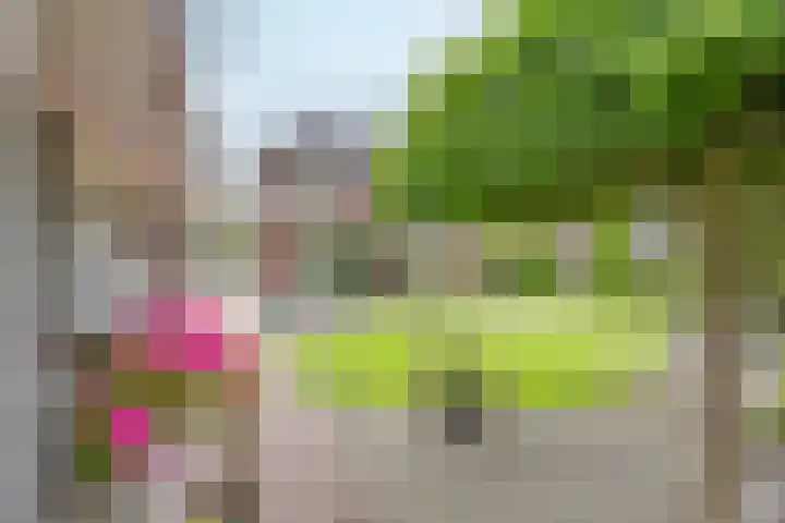 Velduil 5 Bergen L thumbnail 46