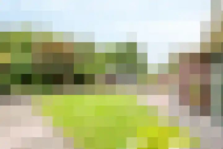 Velduil 5 Bergen L thumbnail 47