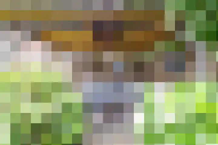 Velduil 5 Bergen L thumbnail 50