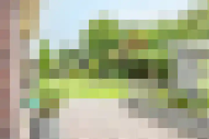 Velduil 5 Bergen L thumbnail 53