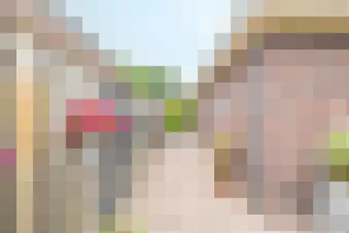 Velduil 5 Bergen L thumbnail 54