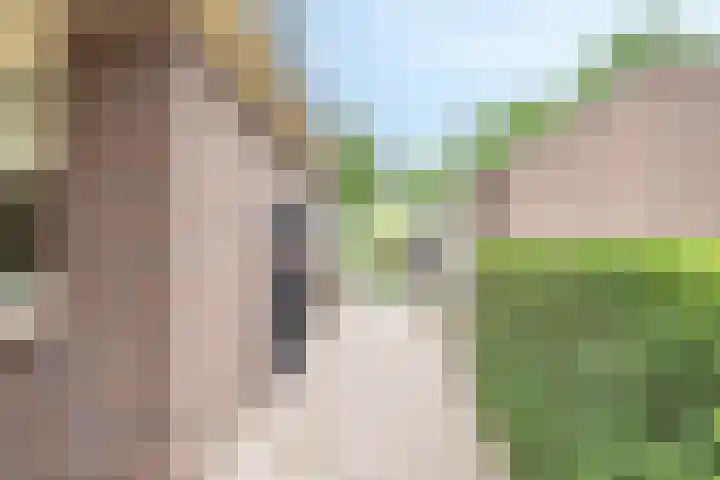 Velduil 5 Bergen L thumbnail 55