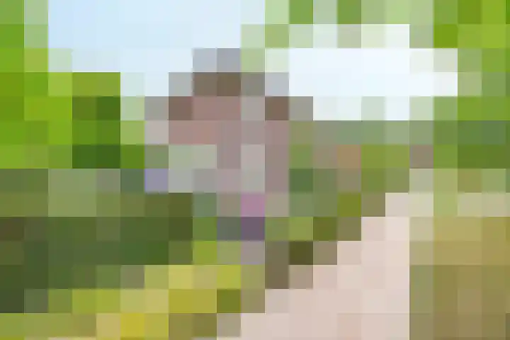 Velduil 5 Bergen L thumbnail 56
