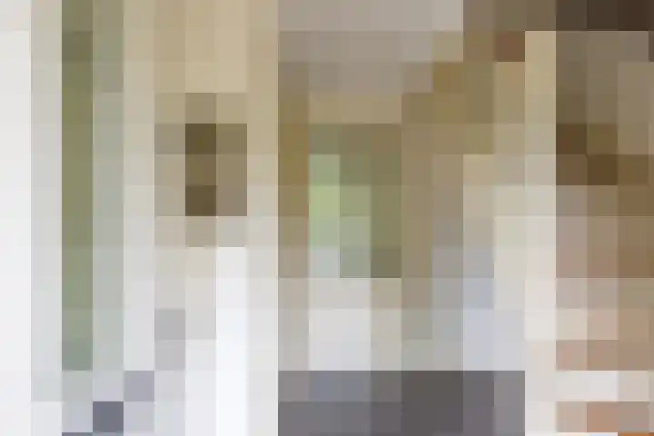 Velduil 5 Bergen L thumbnail 7