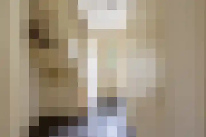 Velduil 5 Bergen L thumbnail 8