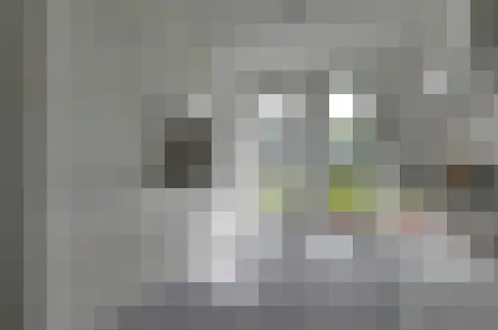 Velduil 6 Assen thumbnail 11
