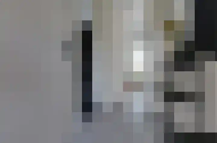 Velduil 6 Assen thumbnail 12