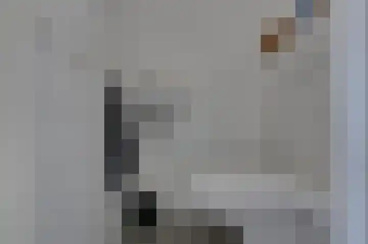 Velduil 6 Assen thumbnail 13