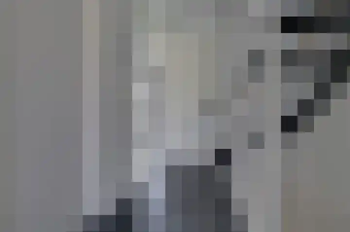 Velduil 6 Assen thumbnail 15