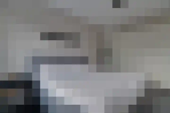 Velduil 6 Assen thumbnail 16