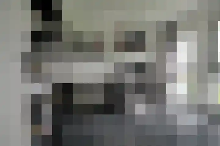 Velduil 6 Assen thumbnail 19