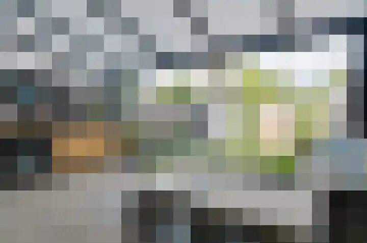 Velduil 6 Assen thumbnail 25