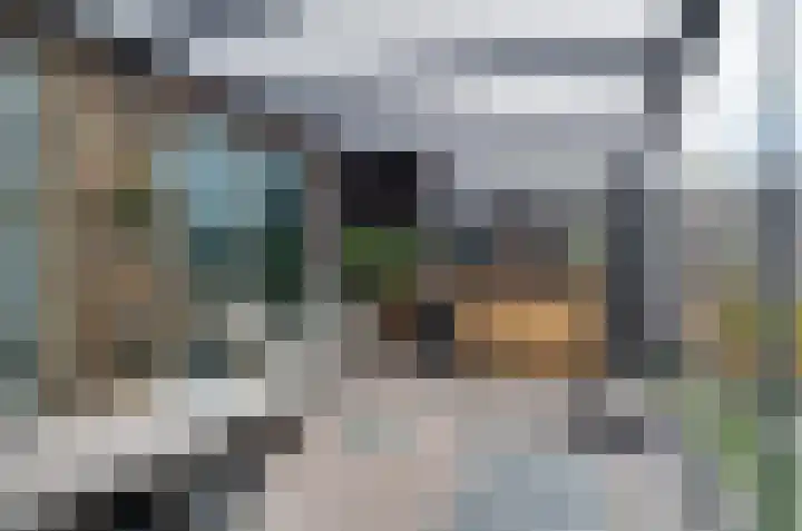 Velduil 6 Assen thumbnail 26