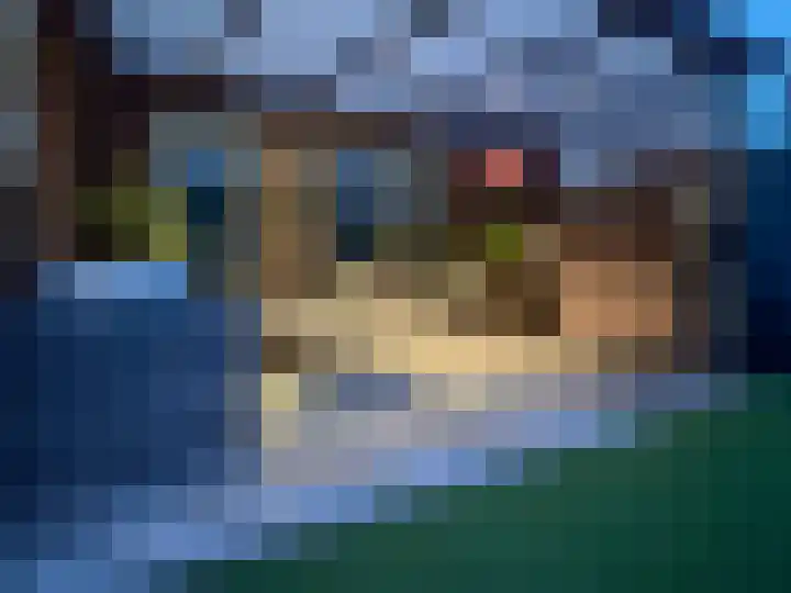 Velduil 6 Assen thumbnail 28