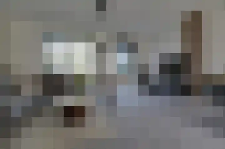 Velduil 6 Assen thumbnail 4