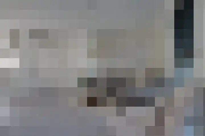 Velduil 6 Assen thumbnail 6