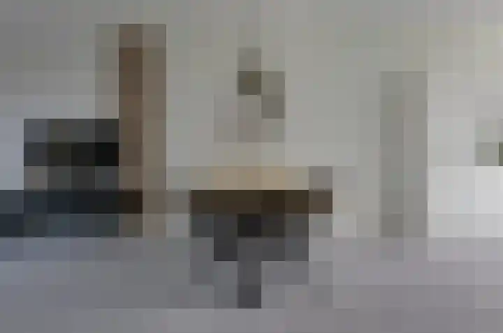 Velduil 6 Assen thumbnail 8