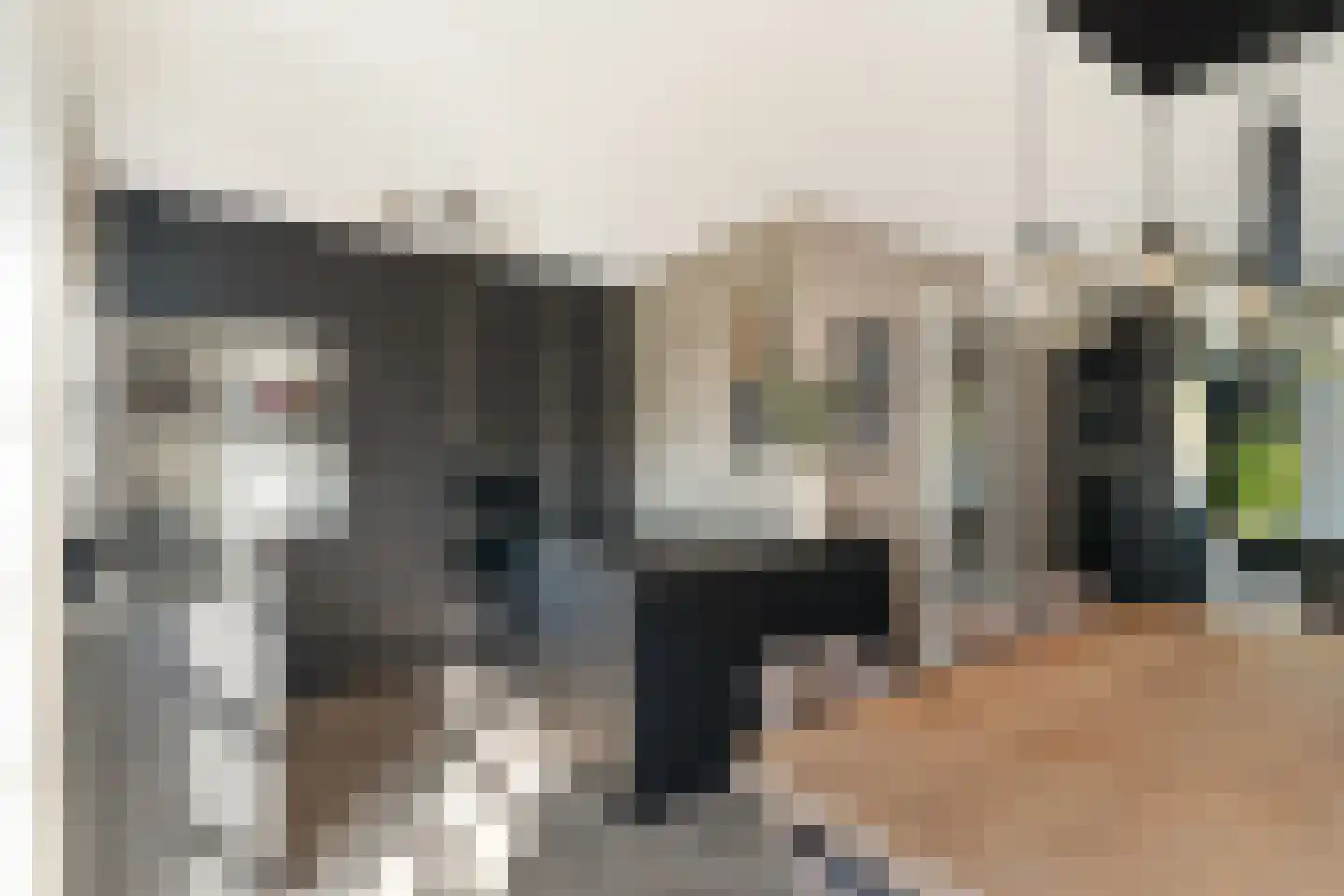 Velduillande 18 Pijnacker thumbnail 10