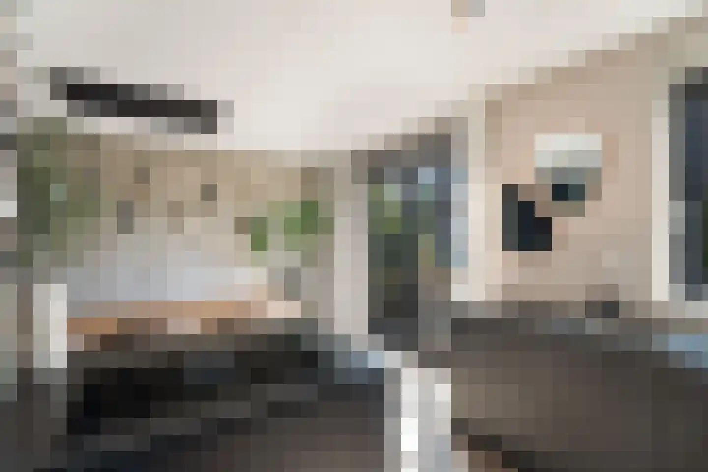 Velduillande 18 Pijnacker thumbnail 12