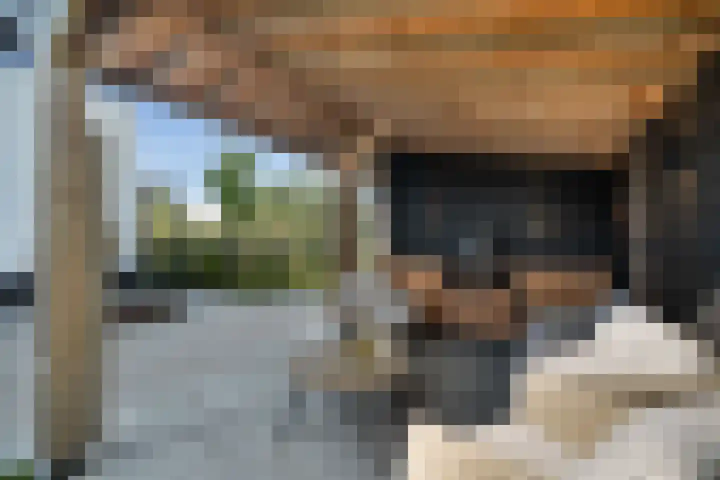 Velduillande 18 Pijnacker thumbnail 22