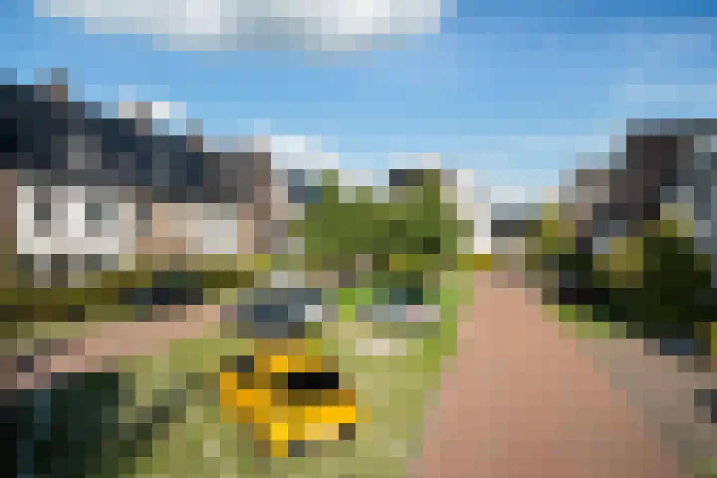 Velduillande 18 Pijnacker thumbnail 47