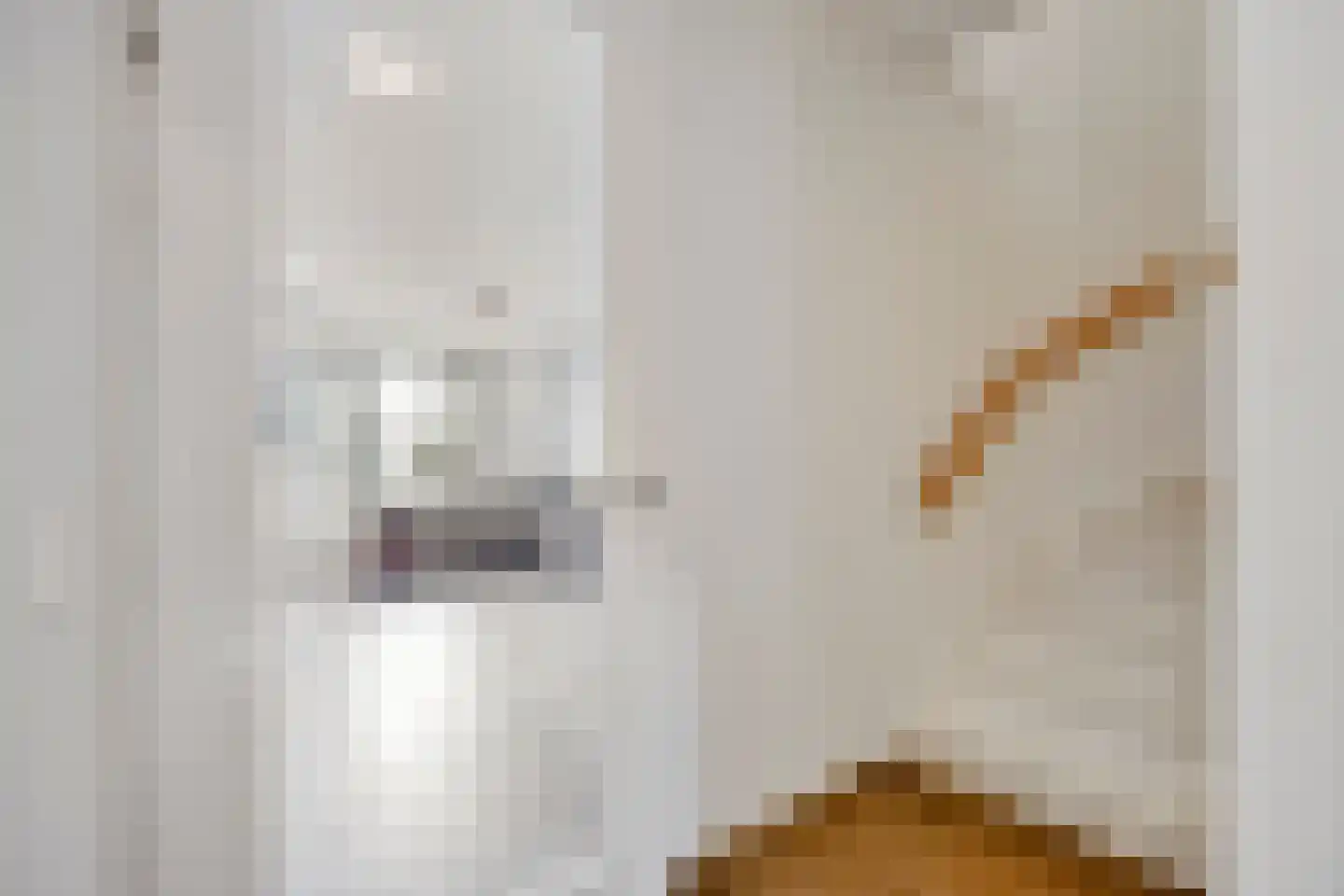 Velduillande 9 Pijnacker thumbnail 7