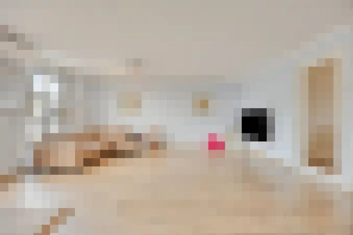 Velduillande 9 Pijnacker thumbnail 9