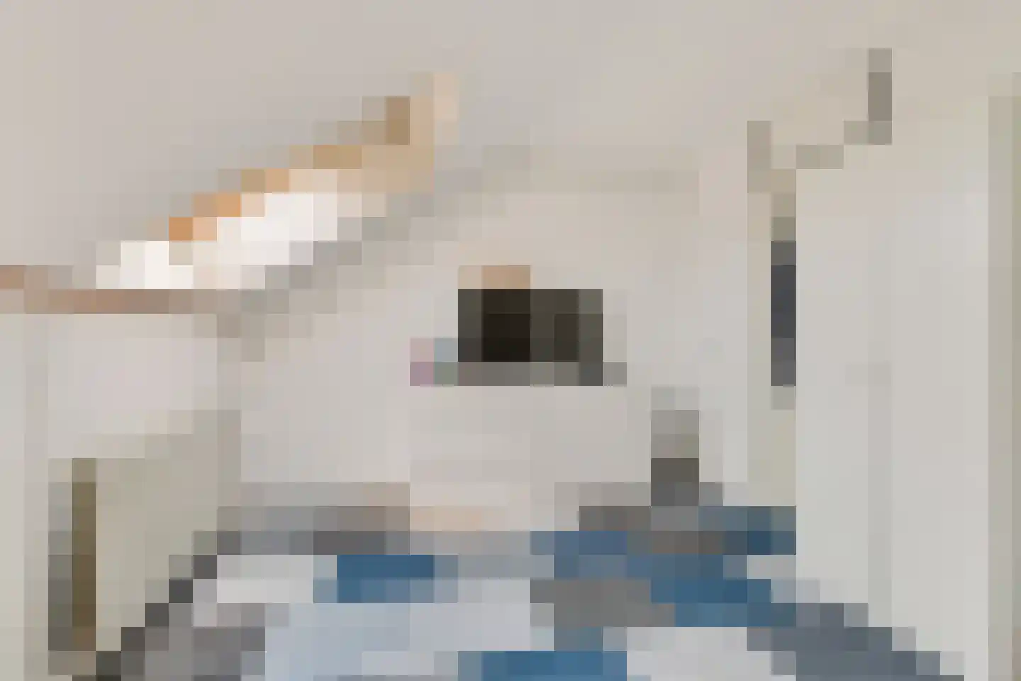 Velduilstraat 6 Alkmaar thumbnail 26