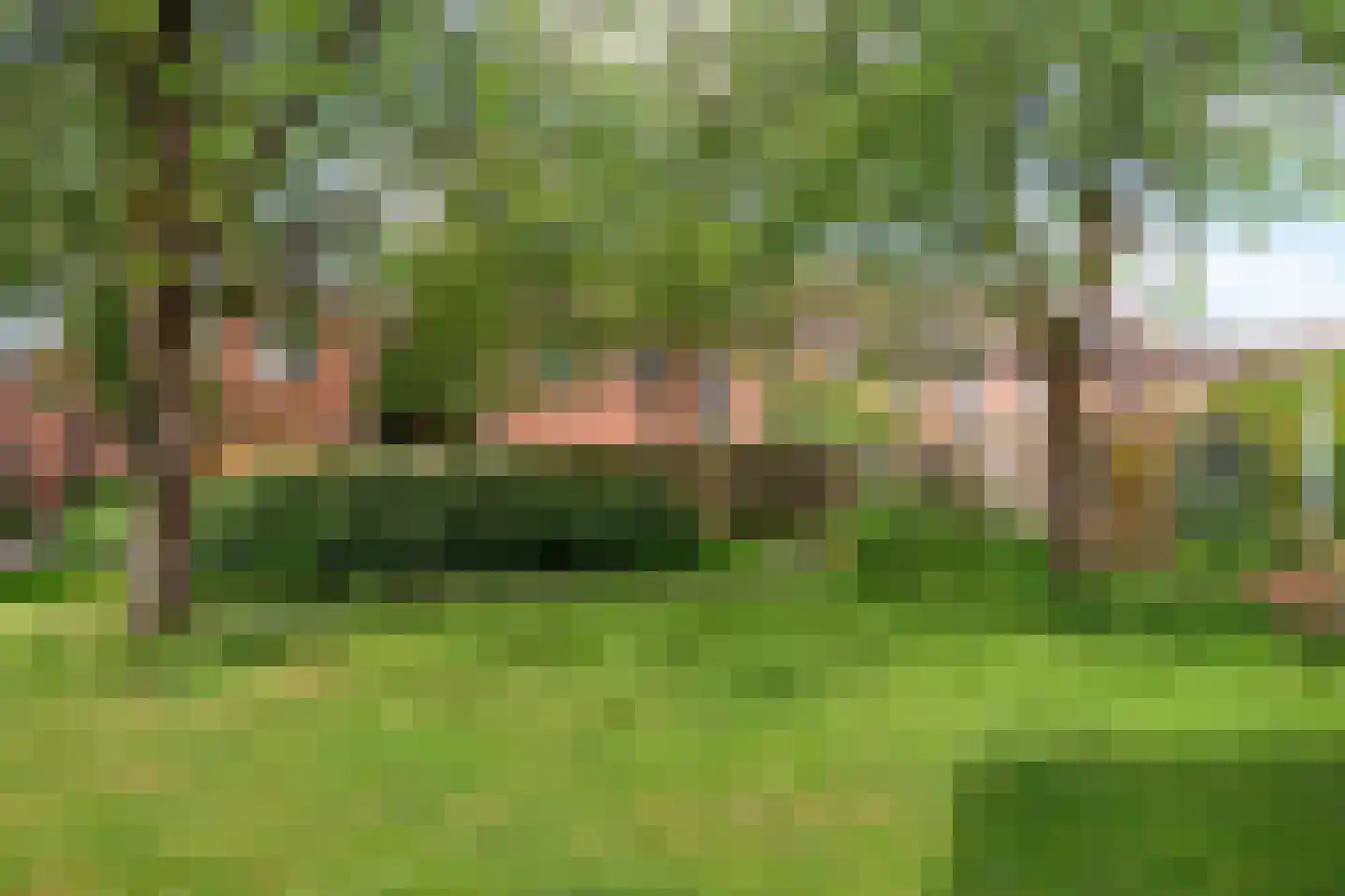 Velduilstraat 6 Alkmaar thumbnail 38
