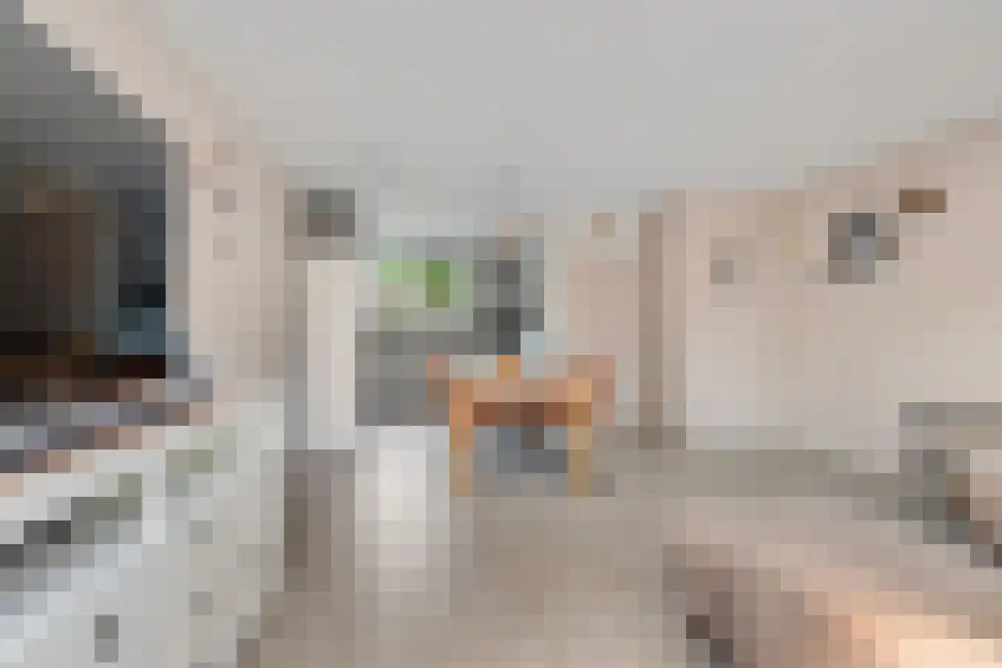 Velduilstraat 6 Alkmaar thumbnail 9