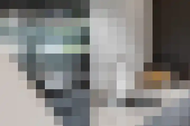 Veldwachter 12 Wesepe thumbnail 10