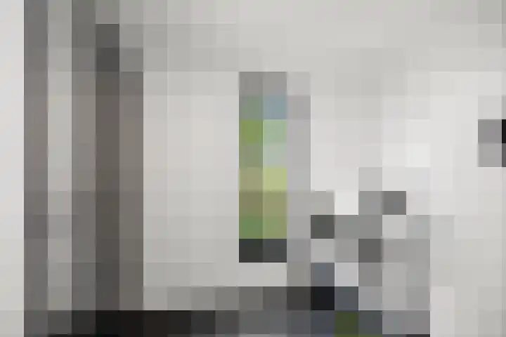Veldwachter 12 Wesepe thumbnail 15