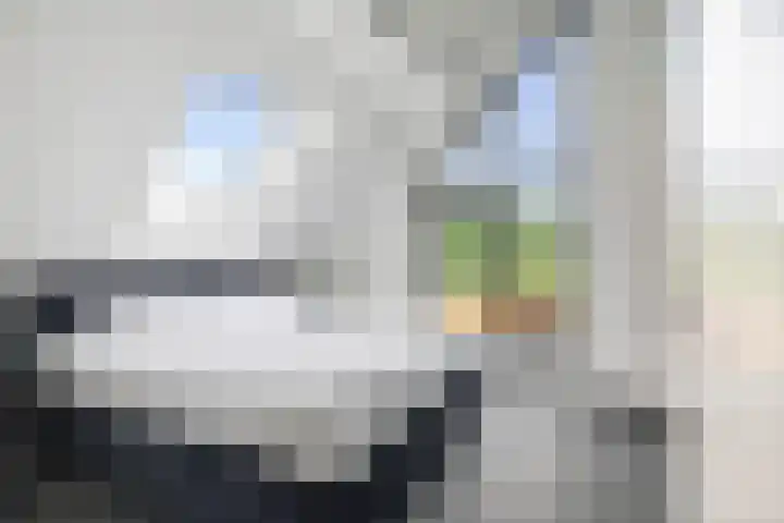 Veldwachter 12 Wesepe thumbnail 17